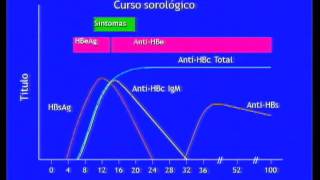 Hepatite B [upl. by Okkin96]