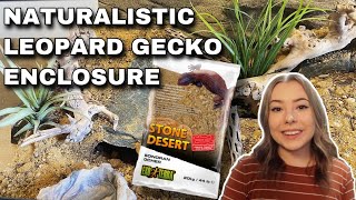 Setting Up Naturalistic Leopard Gecko Enclosures  Exo Terra Stone Desert Substrate [upl. by Aeriell]