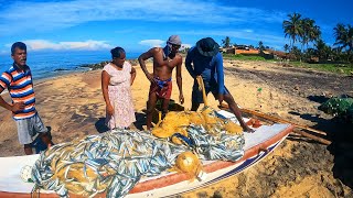 OMG 300Kg Of Trenched Sardinella Fish Caught To Our Small Sailing Vessel [upl. by Cappella]