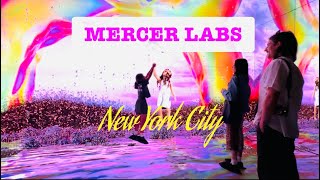 MERCER LABS  Samotsaring Vlog New York City [upl. by Ebsen]