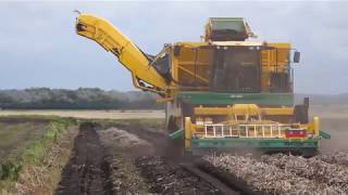 Ploeger AR4BX self propelled potato harvester [upl. by Nosae]