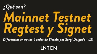 Mainnet Testnet Regtest y Signet ¿Qué son y cuál es su diferencia [upl. by Poppy594]