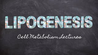 Learning Lipogenesis  Part 12 Metabolism Foundations  Nourishable Macronutrients Lecture 28 [upl. by Busey]