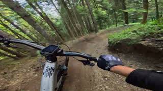 Borovets Bike Park 2024  Dumbledore trail [upl. by Aisereht781]