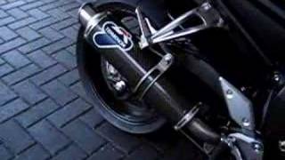 Termignoni fazer fz1 with sound [upl. by Bj418]