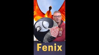 Kunst van Rondeel 3  Fenix [upl. by Leirud]