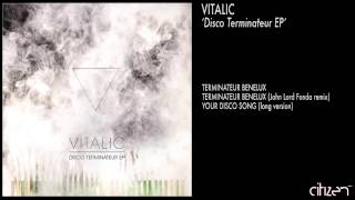 Vitalic  Terminateur Benelux [upl. by Yecad]