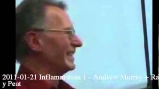 20110121 Inflammation 1  Andrew Murray  Ray Peat [upl. by Aninahs]