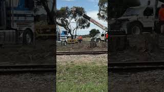 TRAINS AM22 Fleurieu Peninsula Cranes move the ESV bogies at Goolwa SteamRanger Depot 161024 [upl. by Landahl]