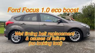 Ford Focus Wet belt replacement 10 eco boost with no locking tools 😬 [upl. by Anaujik]