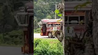 නුවරඑළියේ කන්දේ බස් රිවස් shorts bus DLMIUSIC [upl. by Isoais394]