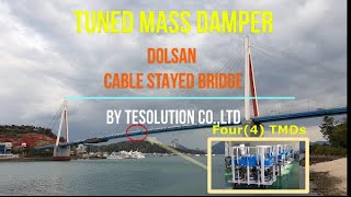 티이솔루션 TESolutions Dolsan Bridge TMD Project [upl. by Guthry]