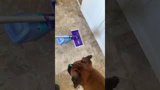 Effortless Cleaning Made Easy Swiffer WetJet  The Ultimate Cleaning Companion [upl. by Aiselad542]