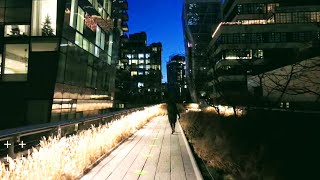 Walking at NYC High Line Park at Night Time [upl. by Perr]