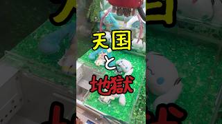 《クレーンゲーム》ぬいぐるみGETしようとしたら天国と地獄を見た日…。クレーンゲーム クレゲ シナモロール 初音ミク [upl. by Naig499]