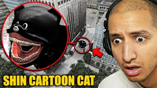 Drone Catches SHIN CARTOON CAT in a City [upl. by Shanahan522]