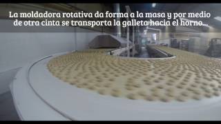 Proceso de Elaboración de Galletas Industriales [upl. by Elledoj373]