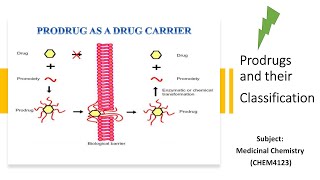 CHEM4123  Lectures 1415  Prodrugs and their Classification [upl. by Lledner]