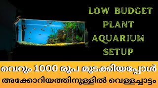 BUILD A LOW BUDGET PLANTED TANK 😎 JUST RS1000 ONLY [upl. by Adrianna]