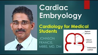 Cardiac Embryology  Cardiology for Medical Students [upl. by Ayhdiv]