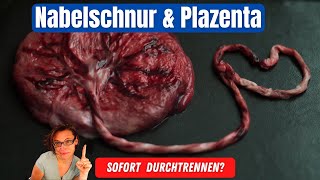 Plazenta amp Nabelschnur  nicht sofort durchtrennen [upl. by Els]