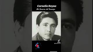 Cornelio Reyna Me sacaron del Tenampa [upl. by Jankey416]