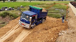 Wonderful Starting New Land Clearing amp Filling Up By Dozer Push Soil Stone Vs 5ton Truck Unloading [upl. by Previdi]