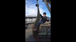 Shellharbour NSW Flathead fishing 1592019 [upl. by Adnylem]