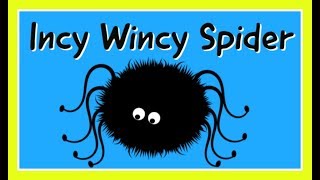 Incy wincy spider song  learn English  nursery rhyme [upl. by Akiaki951]