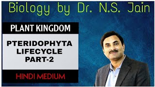 PteridophytaLife Cycle Plant Kingdom Part2  Hindi Medium [upl. by Diva327]