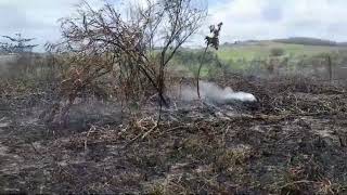 Feu de broussailles à Lamberton RivièreSalée samedi 11 mai 2024 [upl. by Fuchs]