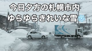 札幌雪きれいな雪❄️ もういらない？ [upl. by Ramirol949]