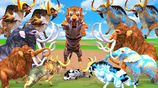 10 Mammoth Elephants vs 10 Saber tooth Tiger Lion Fight Cow Baby Elephant Saved by Woolly Mammoth [upl. by Odoric304]