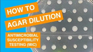 Agar Dilution MIC Susceptibility Test Method [upl. by Coffeng]