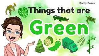 THINGS THAT ARE GREEN  Learning Colors for Kids  Green Color Objects [upl. by Oloapnaig]