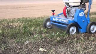 Home Pros Blue Bird C18 Dethatcher Tool Rental [upl. by Gelman883]