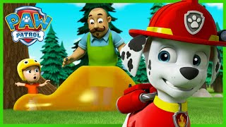 ¡Marshall salva a los campistas cubiertos de jarabe pegajoso y más  PAW Patrol Episodio Español [upl. by Cruickshank496]