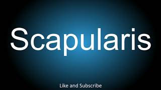 How to correctly pronounce  Scapularis [upl. by Pedroza306]