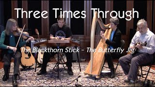 The Blackthorn Stick  The Butterfly Jig  Three Times Through [upl. by Ahsian]