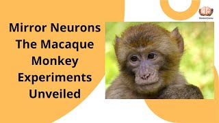 10 Mirror Neurons The Macaque Monkey Experiments Unveiled [upl. by Eelarbed760]