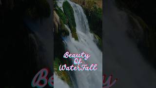 Beauty Of Waterfall waterfall nature shorts ytshorts [upl. by Nwahsel63]