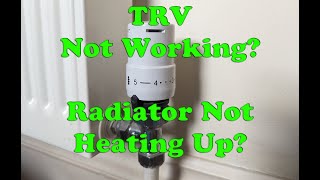 Radiator Not Heating Up After Summer  TRV Thermostatic Valve stuck in position  No Hot Water Flow [upl. by Rivy326]