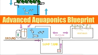 Advanced Aquaponics Blueprint  Ask The aquaponics God Ep23 [upl. by Ocirderf542]