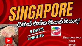 Singapore tour එකට අපිට කීයක් ගියාද Total cost  Singapore tour budget  Travel expenses travel [upl. by Groot]