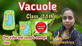 Vacuole  cell the unit of life  cell organelle of plant  most awaited lecture  by Jyoti [upl. by Ner]