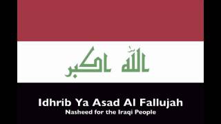 Idhrib Ya Asad Al Fallujah [upl. by Ogilvie]