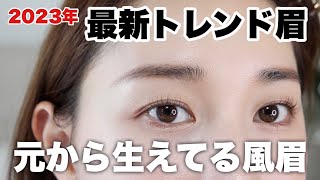 【2023最新トレンド眉💡】とにかく自眉毛を活かす！quot元から生えてる風quot眉毛の書き方 [upl. by Ablasor]