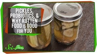 Pickles Probiotics and Why Rotten Food Is Good For You [upl. by Rechaba]