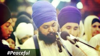 Brings Peace Har Har Haray Bhai Anantvir Singh Ji LA USA Akj [upl. by Akehsal]