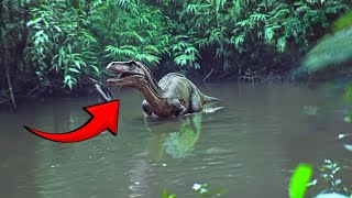 Animals Believed To Be Extinct Caught Alive On Camera [upl. by Ndnarb]